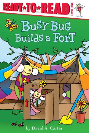 Book cover of Busy Bug Builds a Fort