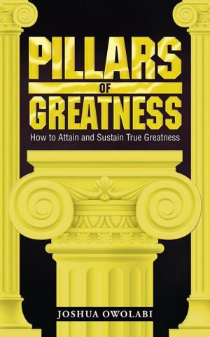 Cover of the book Pillars of Greatness by Daniel van der Merwe