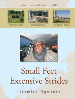 Cover of the book Small Feet Extensive Strides by CHARITY TEH