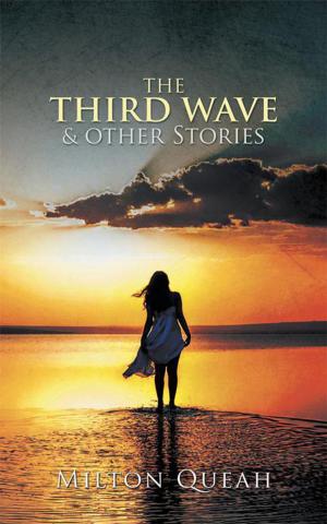 Cover of the book The Third Wave & Other Stories by TSV Raghavan