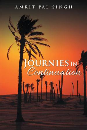 Cover of the book Journies in Continuation by Dipavali Sen