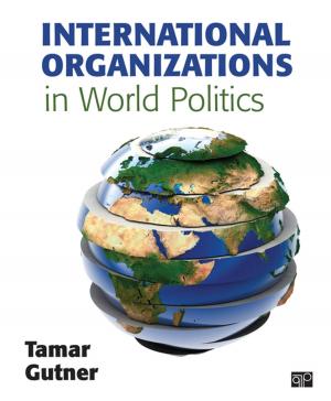 Cover of the book International Organizations in World Politics by Rachel Thomson, Professor Julie McLeod