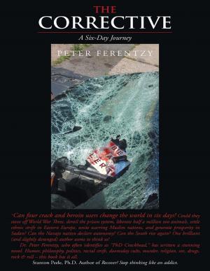 Cover of the book The Corrective: A Six Day Journey by Nakia Melecio