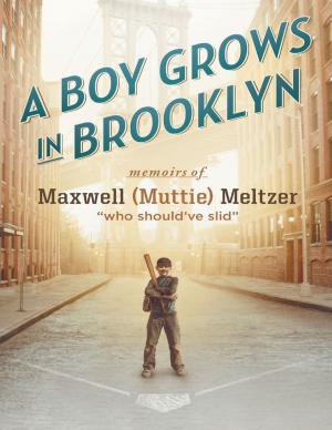 Cover of the book A Boy Grows In Brooklyn by Wyatt O' Brian Evans