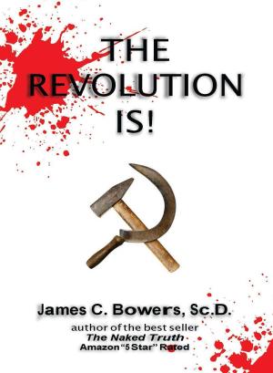 Book cover of The Revolution Is!