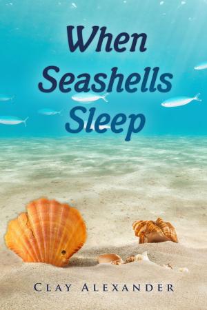 Cover of the book When Seashells Sleep by Valerie J. Gin, Jo Kadlecek