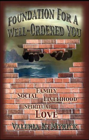 Cover of the book Foundation for a Well-Ordered You. by Robert Raymondsson