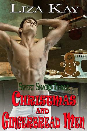 Cover of the book Christmas And Gingerbread Men by Barbara Johannsen
