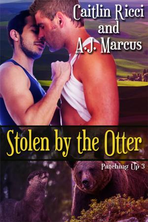 Cover of the book Stolen by the Otter by Marc Jarrod