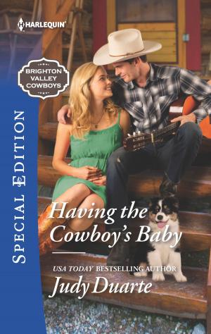 Cover of the book Having the Cowboy's Baby by Jennie Adams