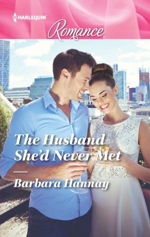 Cover of the book The Husband She'd Never Met by Cassie Miles