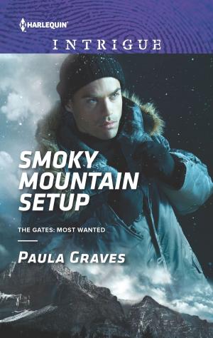 Cover of the book Smoky Mountain Setup by John Buchan
