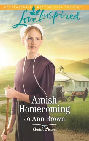 Cover of the book Amish Homecoming by Susan Meier