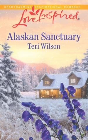 Book cover of Alaskan Sanctuary