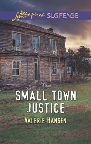 Cover of the book Small Town Justice by Amy J. Fetzer