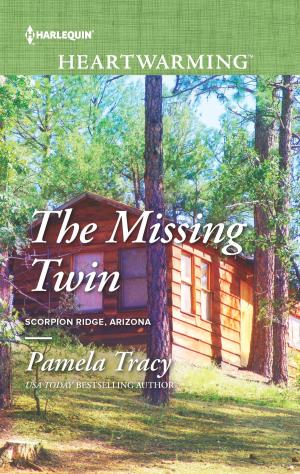 Cover of the book The Missing Twin by Robyn Silverman