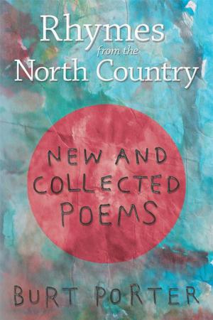 Cover of the book Rhymes from the North Country by John Desjarlais