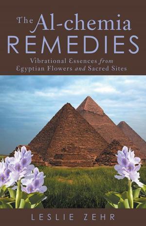 Cover of the book The Al-Chemia Remedies by A. Timothy Starr
