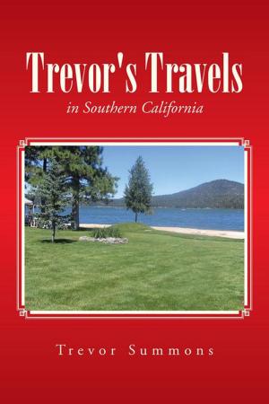 bigCover of the book Trevor's Travels by 