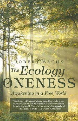 Cover of the book The Ecology of Oneness by Gerard A. Geiger