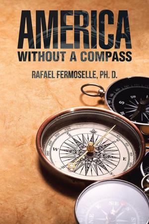 Cover of the book America Without a Compass by Bambi Harris