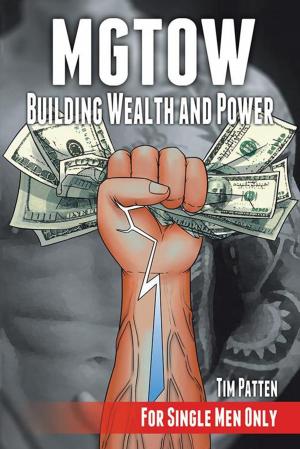 Cover of the book Mgtow Building Wealth and Power by Paola Nicole, Alisha May