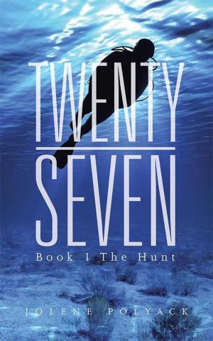 Cover of the book Twenty-Seven by C. C. Locke