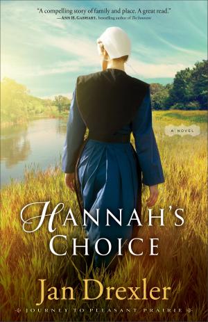 Cover of the book Hannah's Choice (Journey to Pleasant Prairie Book #1) by Ann Shorey