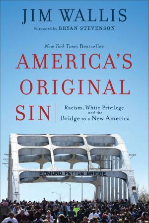 Cover of the book America's Original Sin by Miroslav Volf, Ryan McAnnally-Linz