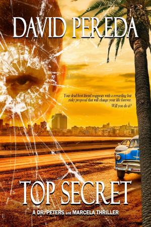 Cover of the book Top Secret by Chloe Gallagher