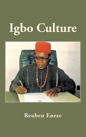 Cover of the book Igbo Culture by Payan-Sedano-Hollywood's Inland Empire