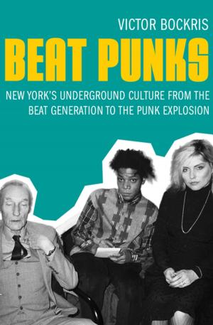 Cover of the book Beat Punks by Daniel Stern