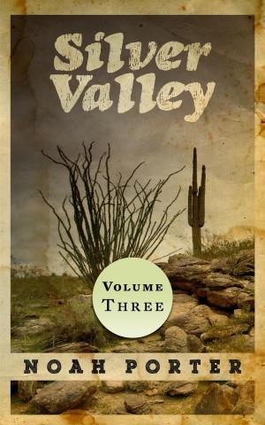 Book cover of Silver Valley (Volume Three)