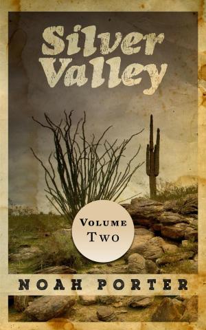 Cover of the book Silver Valley (Volume Two) by Hugo Sousa Pinto