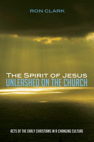 Book cover of The Spirit of Jesus Unleashed on the Church