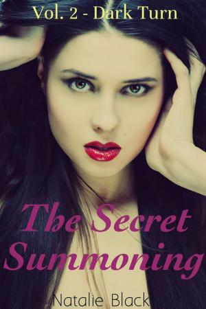 bigCover of the book The Secret Summoning (Vol. 2 - Dark Turn) by 