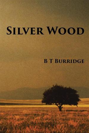 Cover of the book Silver Wood by William “Bill” Pratt