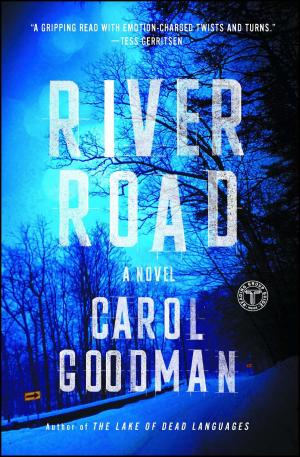 Cover of the book River Road by Michael Hirst