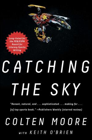 Cover of the book Catching the Sky by Jennifer Chiaverini