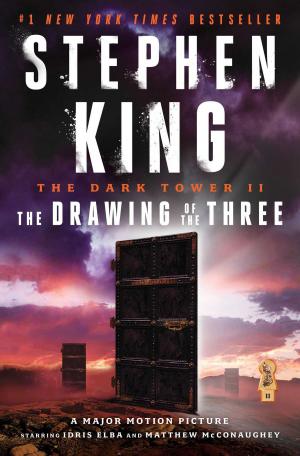 Book cover of The Dark Tower II