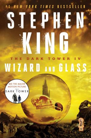 bigCover of the book The Dark Tower IV by 