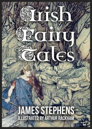 Cover of the book Irish Fairy Tales by Cicely Hamilton