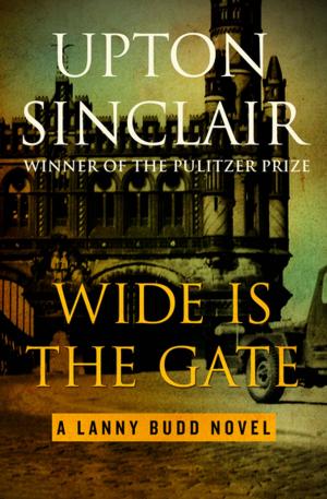 Cover of the book Wide Is the Gate by Janet Dailey