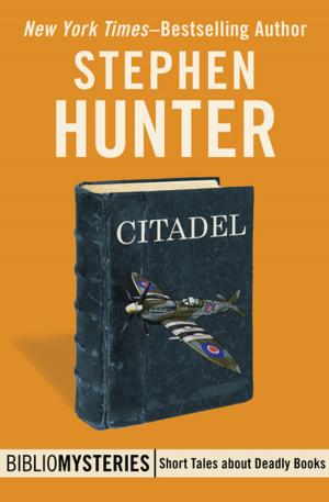Cover of the book Citadel by Roger Busby
