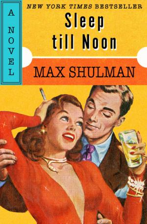 Cover of the book Sleep till Noon by J M Zambrano