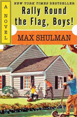 Cover of the book Rally Round the Flag, Boys! by Brad Strickland