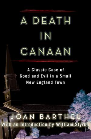 Cover of the book A Death in Canaan by Cynthia Freeman