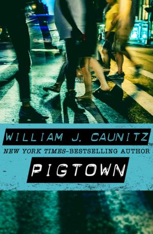 Cover of the book Pigtown by Larry Seeley
