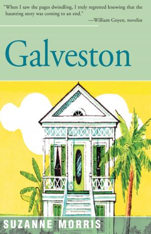 Cover of the book Galveston by M.H. Vesseur