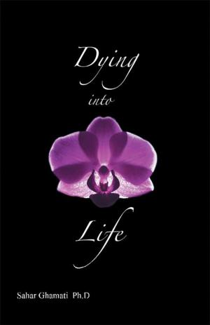 Cover of the book Dying into Life by Barbara Heagy